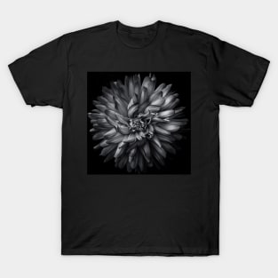 Backyard Flowers In Black And White 20 T-Shirt